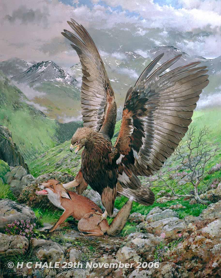 Eagle with fox - Watercolour/Gouache with Conte painting by artist Kenneth Padley