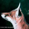 Close up of fox head - Watercolour/Gouache with Conte painting by artist Kenneth Padley
