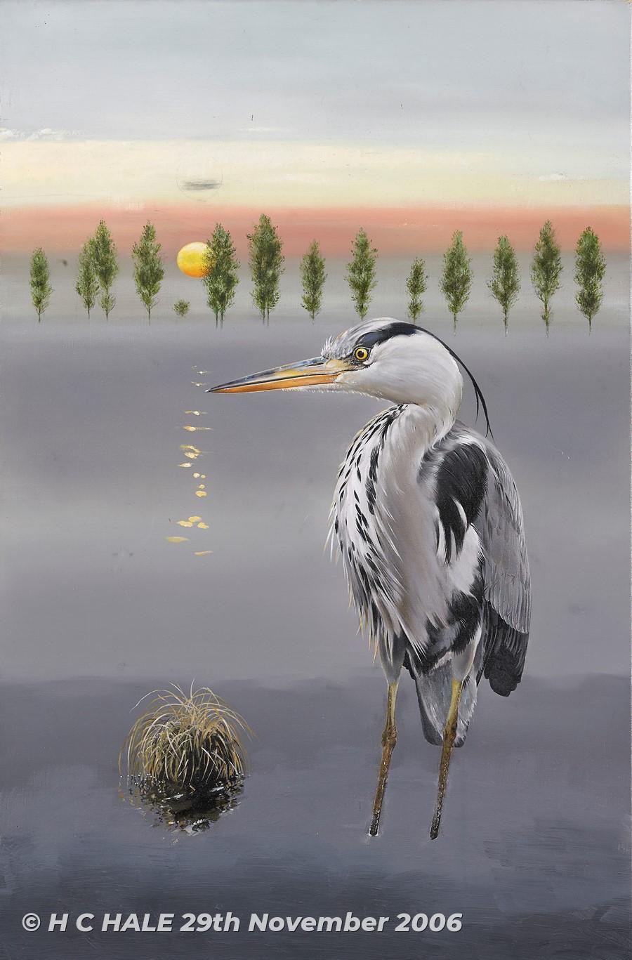 Details about   Heron Watercolour Blank Greeting Card With Envelope 